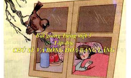 Chú sẻ và bông hoa bằng lăng (bài đọc hiểu tiếng Việt lớp 3 - đề số 3)